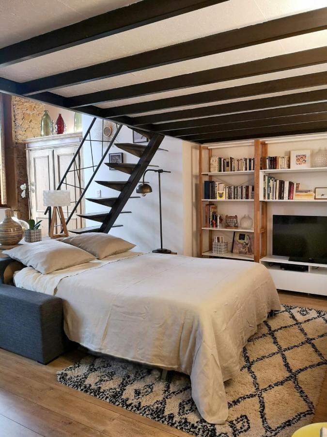 Apartamento Authentic Loft With Mezzanine & Exposed Stones Heart Of Lyon Exterior foto